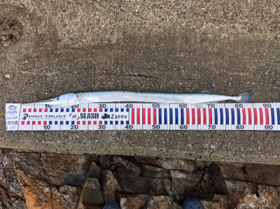 最長記録更新(笑)