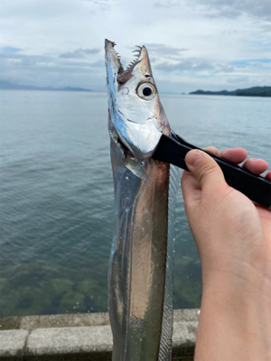 F4.5 あと少しでドラゴン