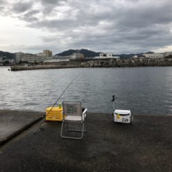 今年初タチウオ