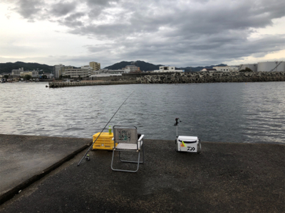 今年初タチウオ