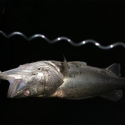 珍しくいい場所が空いていた