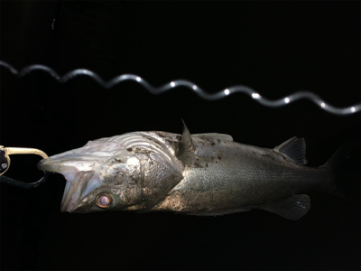 珍しくいい場所が空いていた