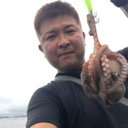 コスモスクエア釣果