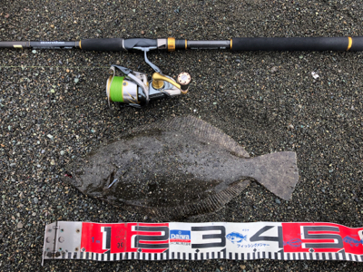 久々フラットゲット