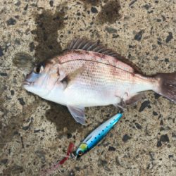 ショアジギング