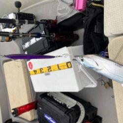 オフショア太刀魚ジギング初体験