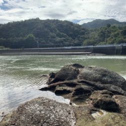 朝マズメのシーバスからチニング へ