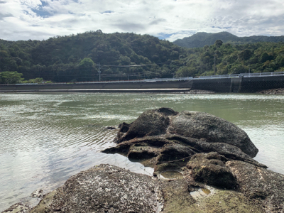 朝マズメのシーバスからチニング へ