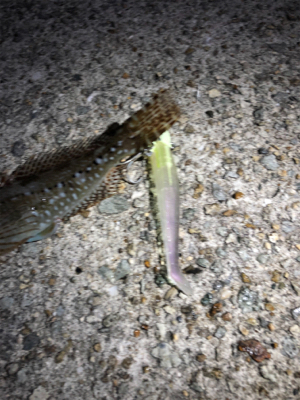 ワインドテンヤ