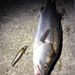 大阪湾奥パトロール