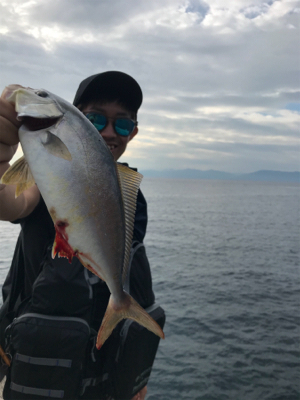 秋イカもいいですが