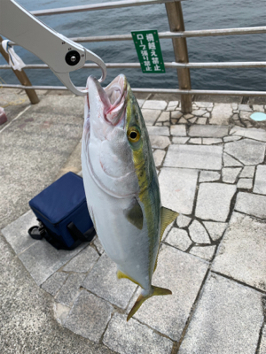 ライトショアジギング