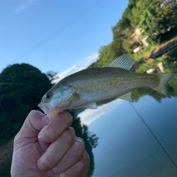 津風呂湖にてvo3