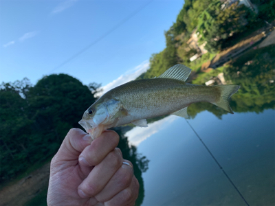 津風呂湖にてvo3