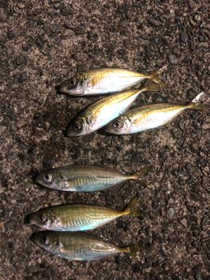 パターン難しくて渋かった_:(´ཀ`」 ∠…