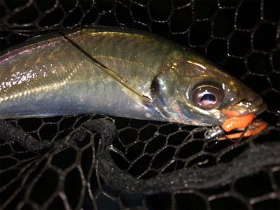 フロートデカアジング