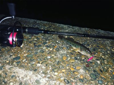 ジグハゼゲーム