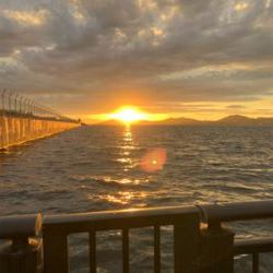 1年ぶりの太刀魚