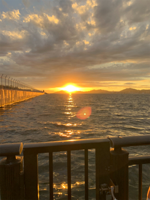 1年ぶりの太刀魚