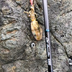 なんとかボウズ回避