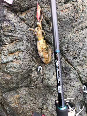 なんとかボウズ回避