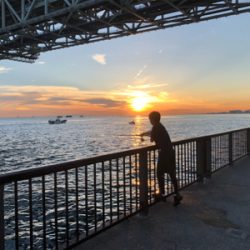 今シーズン初のタチウオ