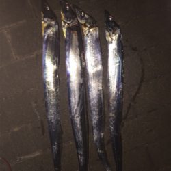 ポツポツアタリます