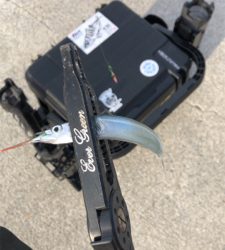 サヨリングからのちょい投げ