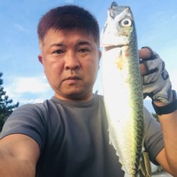 コスモスクエア釣果