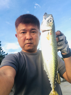 コスモスクエア釣果