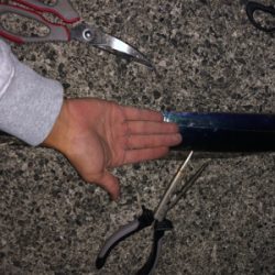 ポーアイ沖にて