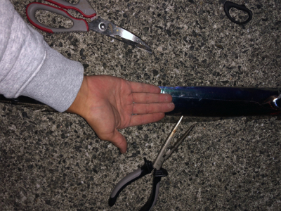 ポーアイ沖にて