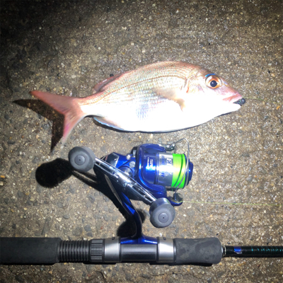 ライトゲームで思わぬお客様！