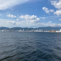 アジ、渋かった…