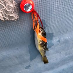 和歌山オフショア