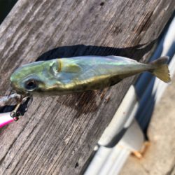 暑さは和らいだんだけど…