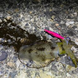 連休はハイプレッシャー