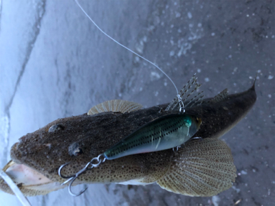 今シーズン初ウェーディング