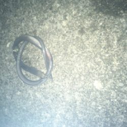 ちょい投げなど