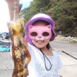 イカじゃなくてイルカ・・・