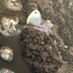 連休で人ばかり。釣れない!