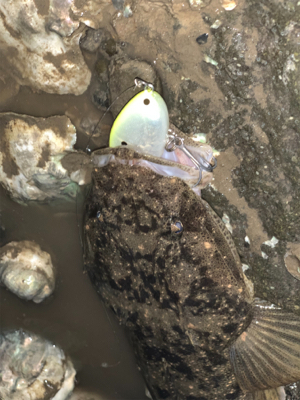 連休で人ばかり。釣れない!