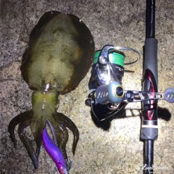 サーフエギング