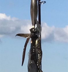 人が多くて賑やか