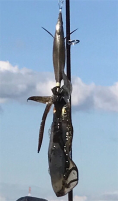 人が多くて賑やか