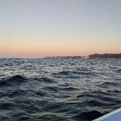 ロックフィッシュ