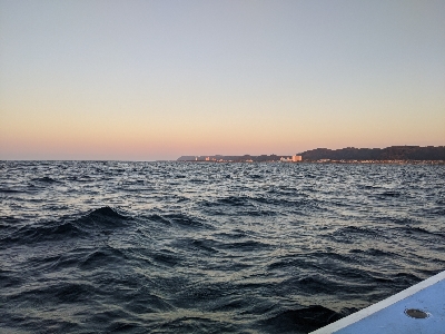 ロックフィッシュ