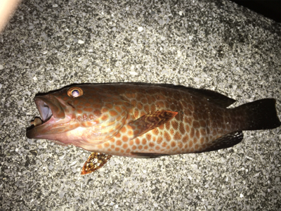 今日は子供会の日？