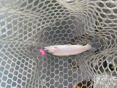 川場キングダムフィッシング