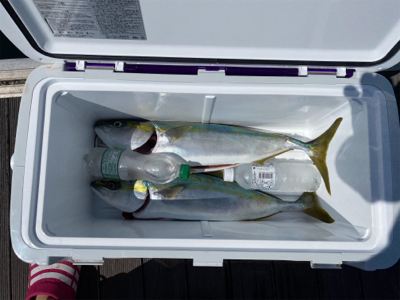 オフショア2回目